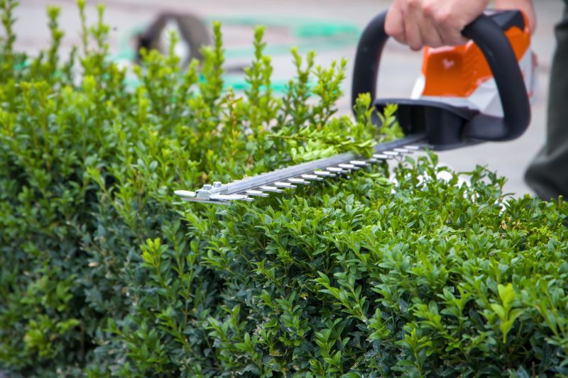 Hedge Trimming