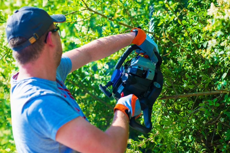 Shrub Shaping